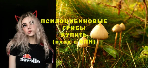 ALPHA PVP Алексеевка