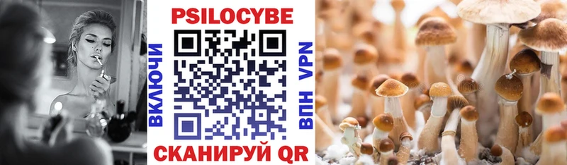цены   Берёзовский  Псилоцибиновые грибы Magic Shrooms 